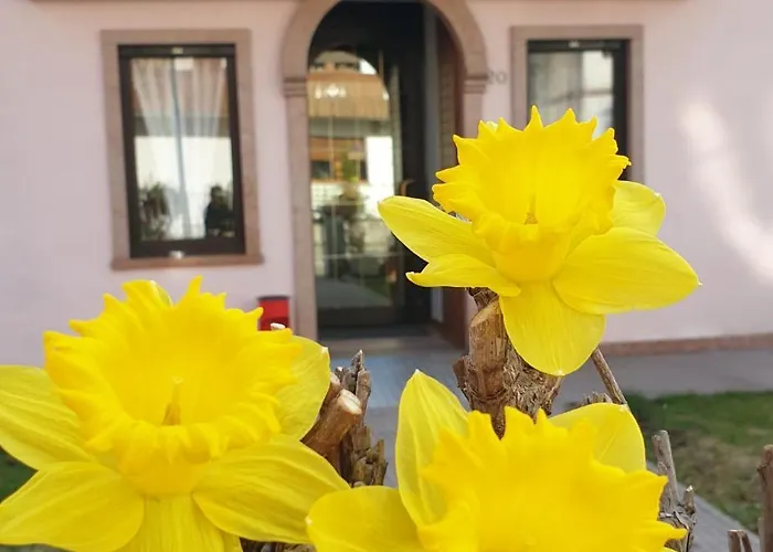 Turistico Bufera 3* Roana